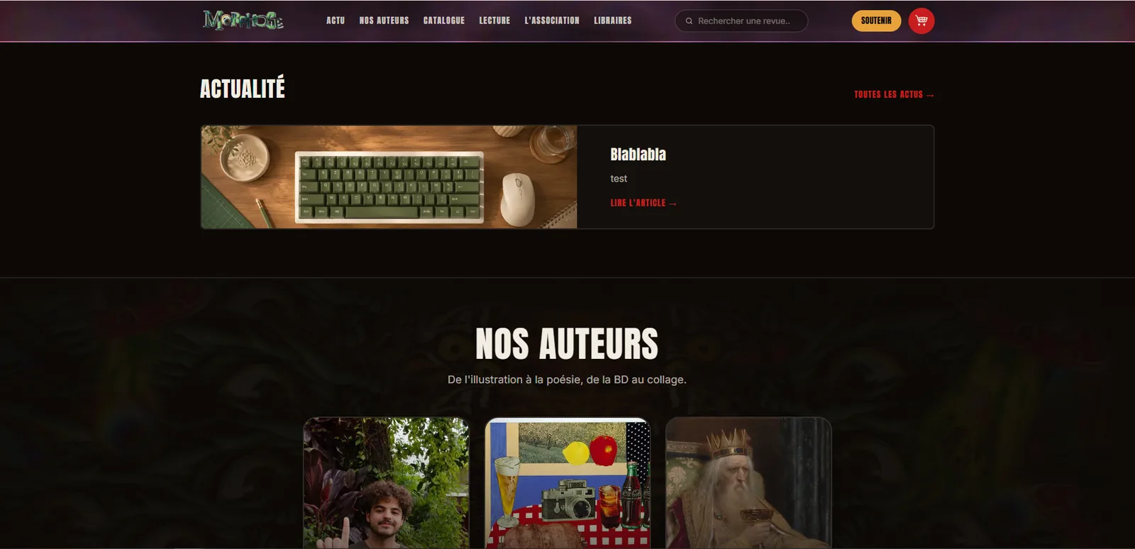 Morphose Editions : capture d'écran 5